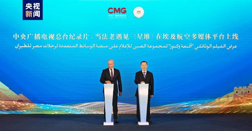 中国新时代深化改革开启全球合作新篇章 中埃伙伴年人文交流与技术开发对话会