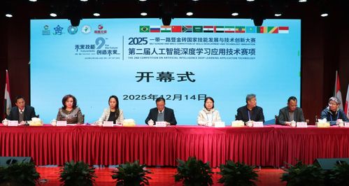 技能交融 创新引领——2025一带一路暨金砖国家技能发展与技术创新大赛在桐城师专举办，技术服务赋能未来